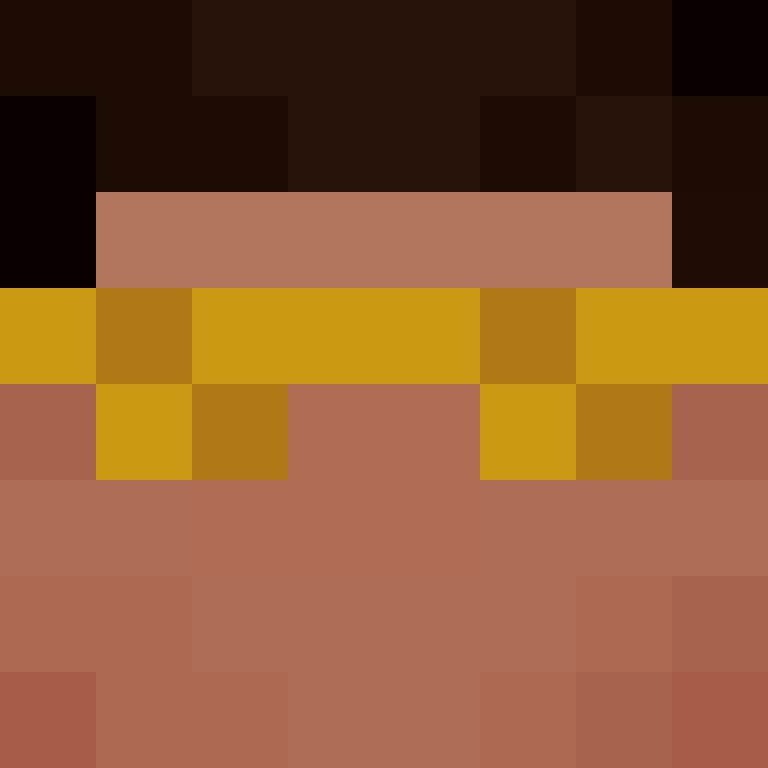 CeilingBird's skin