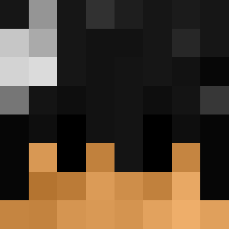 xX_No_Income_Xx's skin