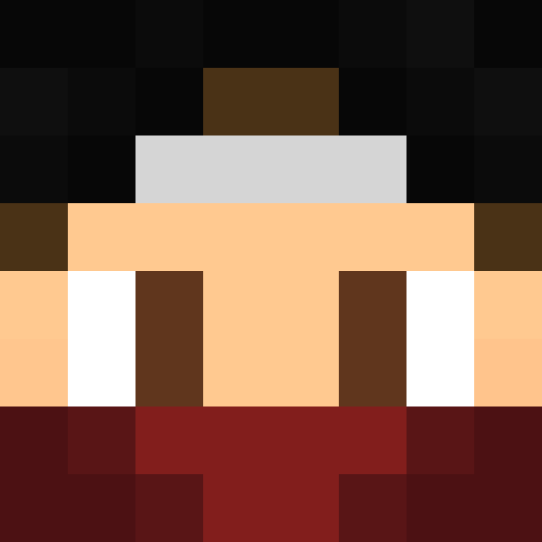 BukkitAPI's skin