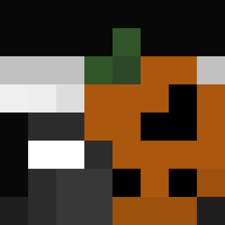 bcd2033c63ec4bf8's skin