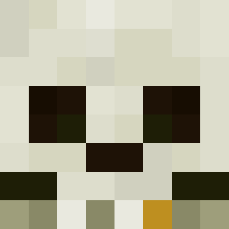 luh29's skin