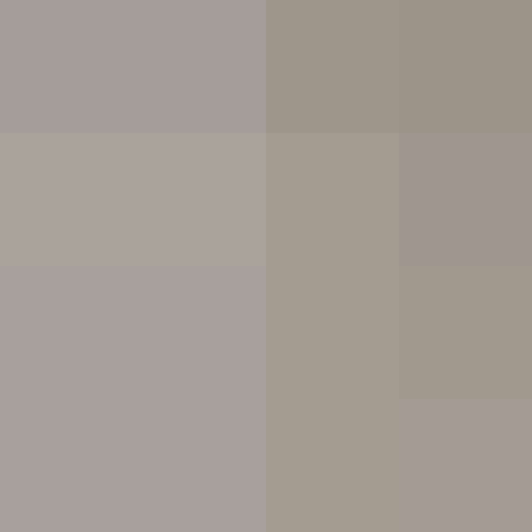 Auntbrix's skin