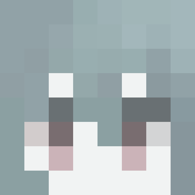 8aca680b22461340's skin