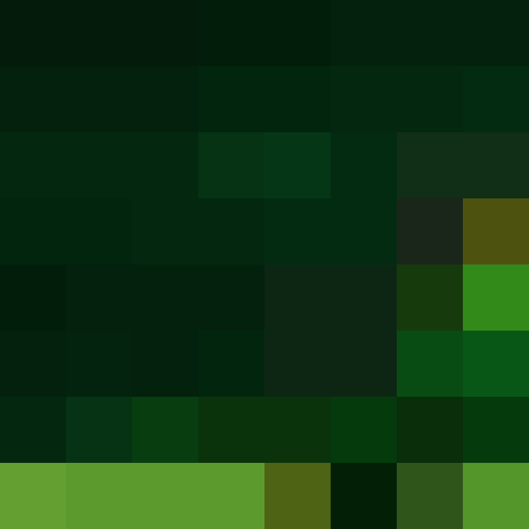 Kaboyio's skin
