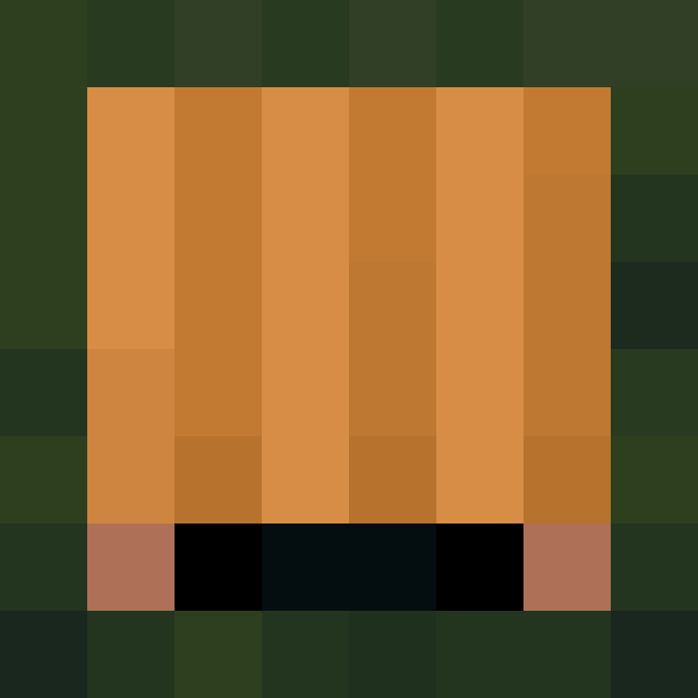 hannhums's skin