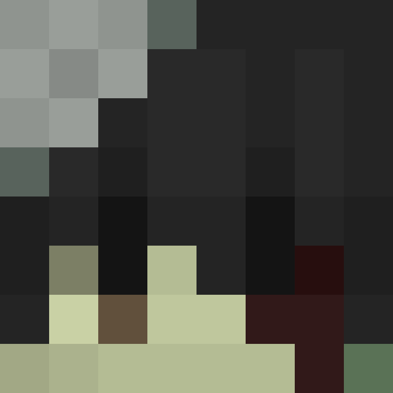 ienw's skin
