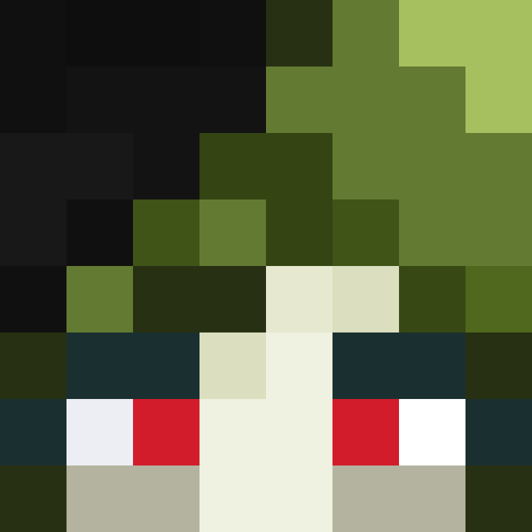 xX_No_Income_Xx's skin