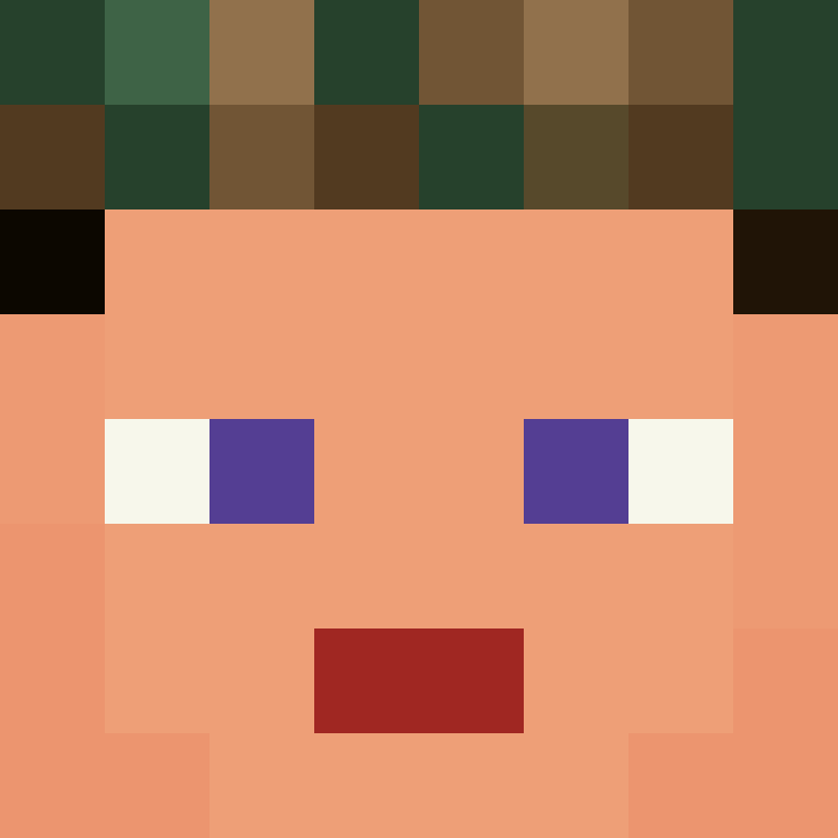 8aca680b22461340's skin