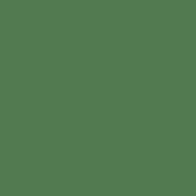 MolesLLC's skin
