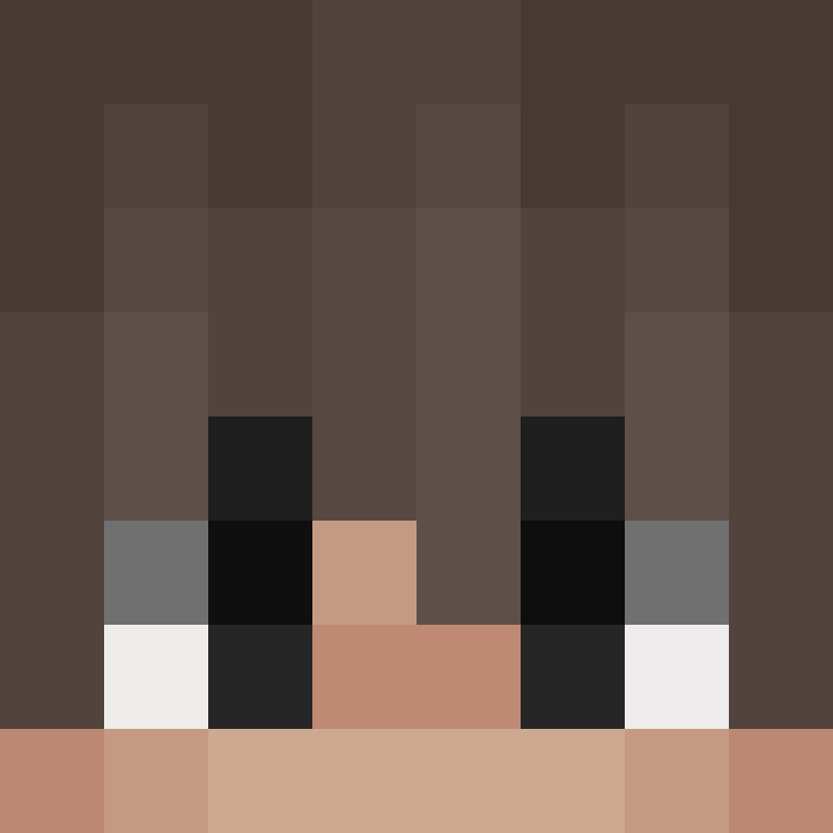 8aca680b22461340's skin