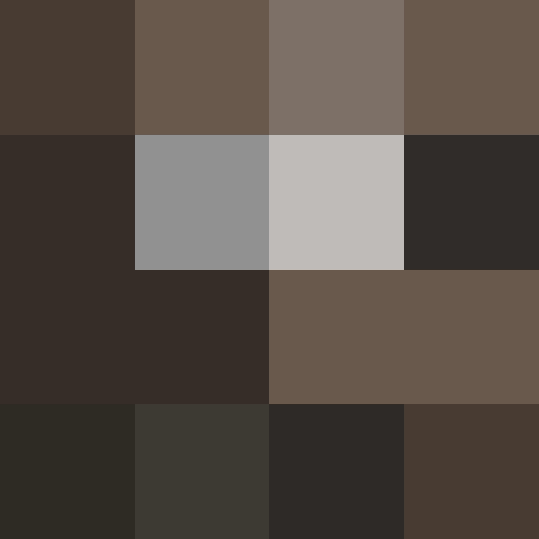 PtakopyskCZ's skin