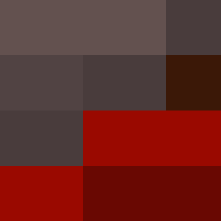 xentany's skin