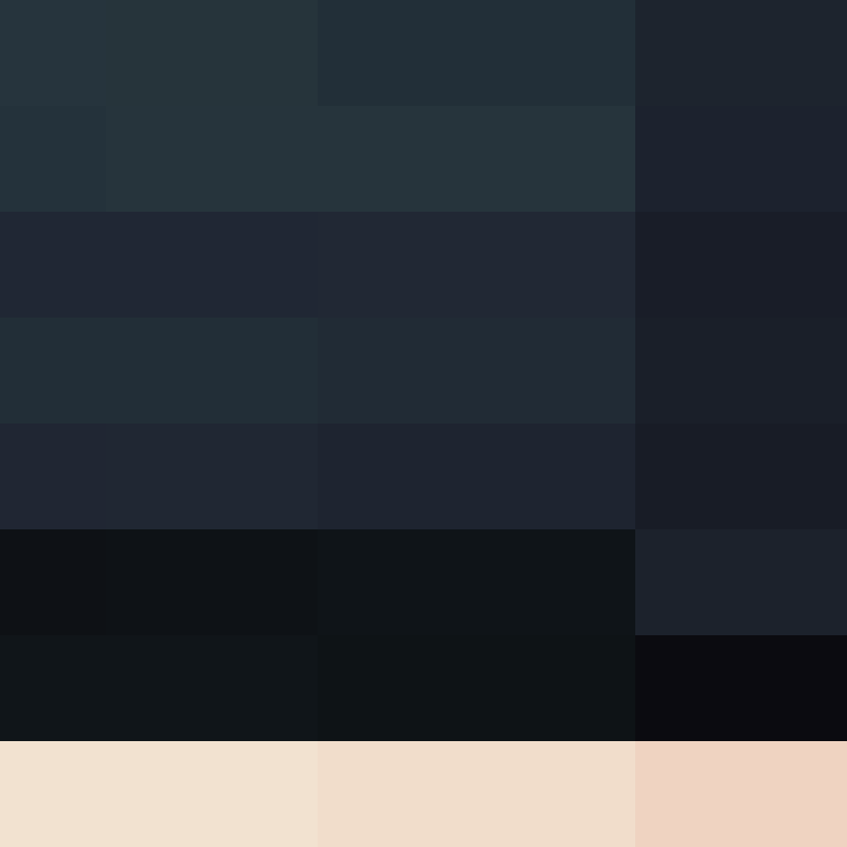 IAmSpadeFan's skin