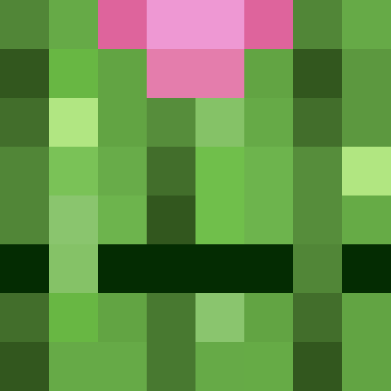 zentiz's skin