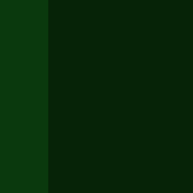 CeilingBird's skin