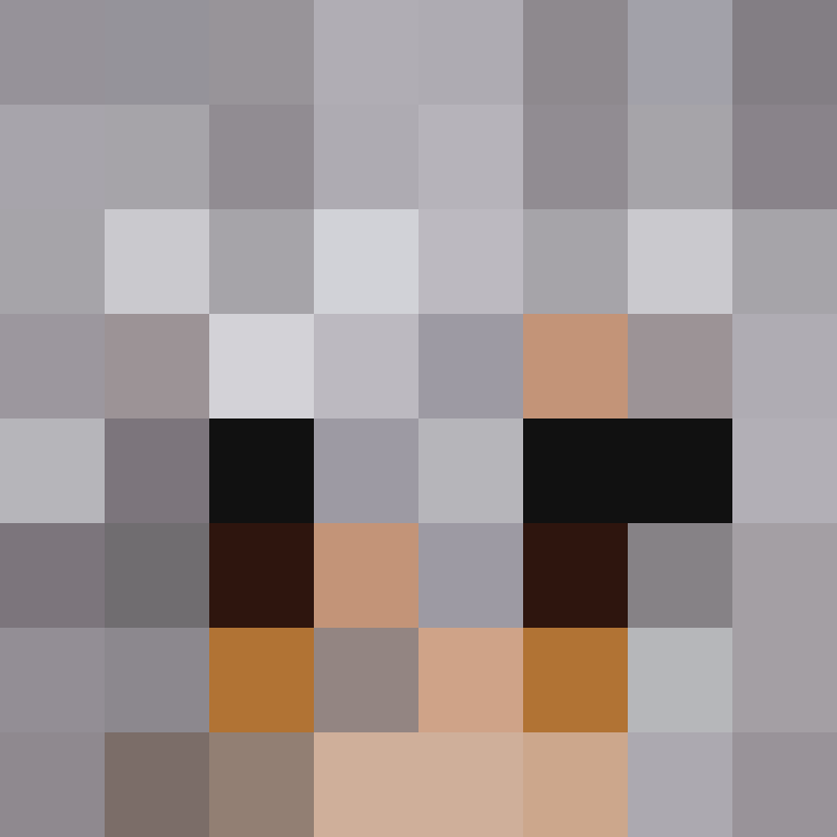 BukkitAPI's skin