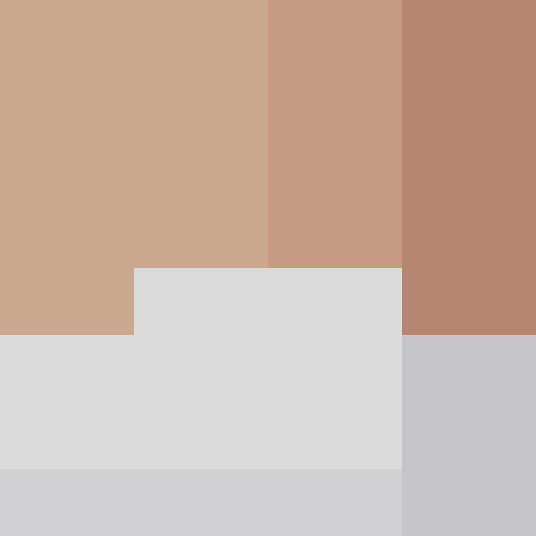 dragloner's skin
