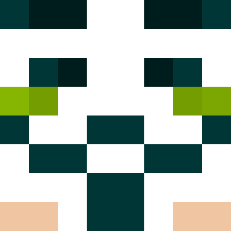 fangyu1's skin