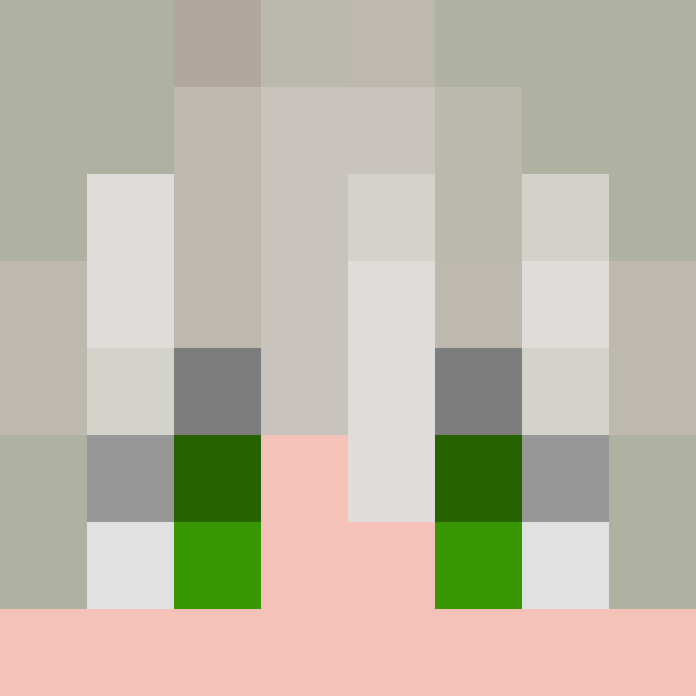 lixrall's skin