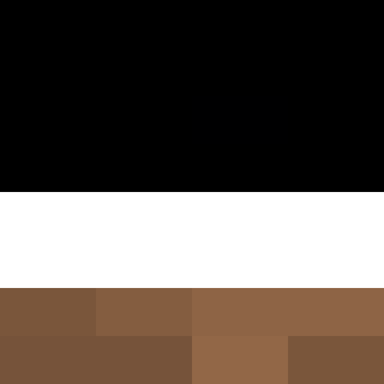 CeilingBird's skin