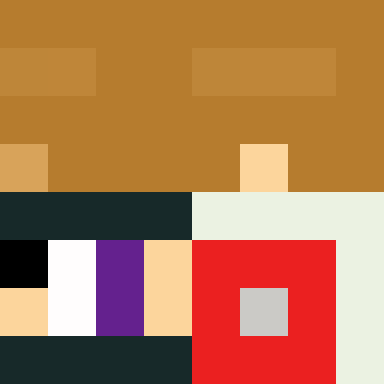 BradBot_2's skin