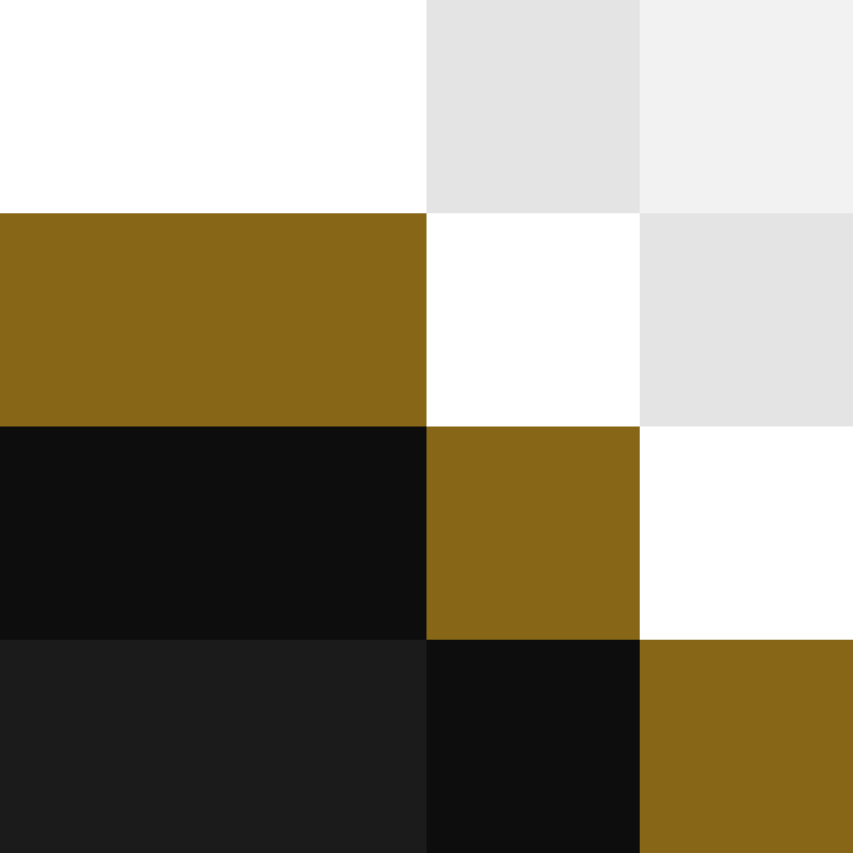 dragloner's skin