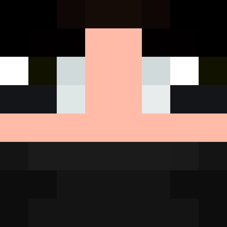 CeilingBird's skin