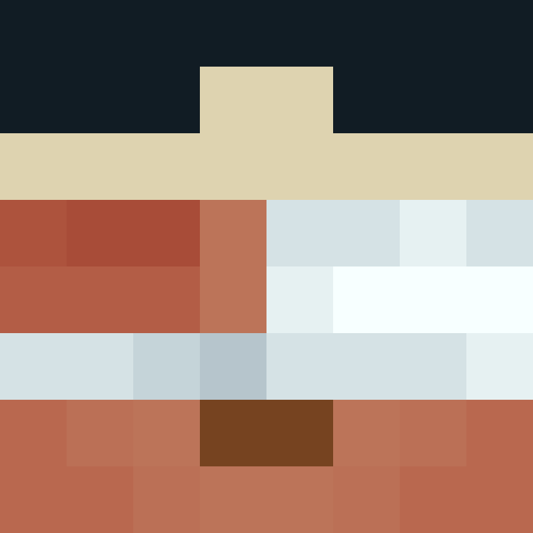 BradBot_2's skin