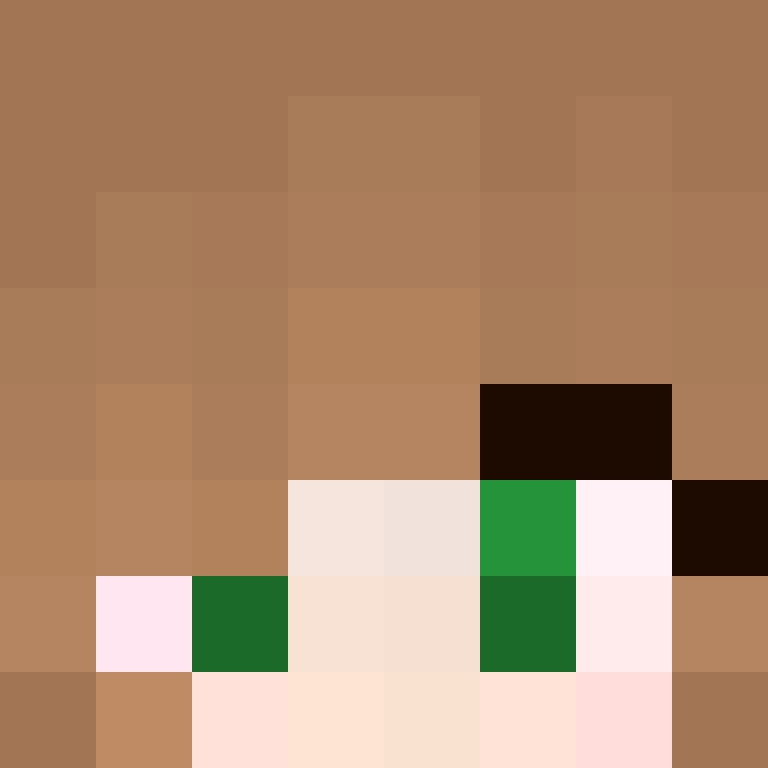 SkinEnthusiast's skin