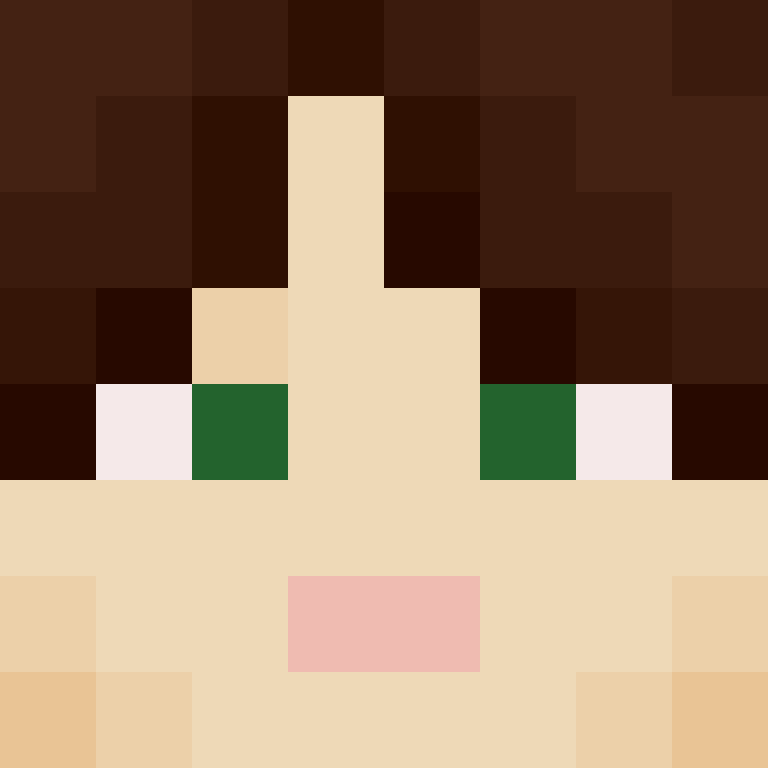wiredframe's skin