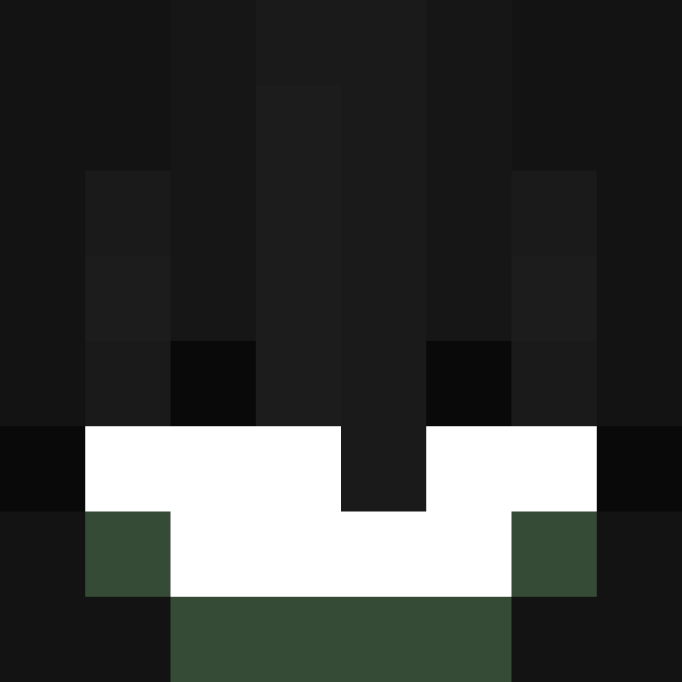 SkinEnthusiast's skin