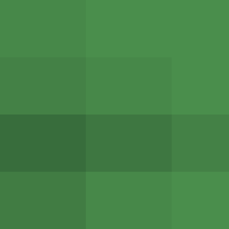 Fernand0al0ns0's skin