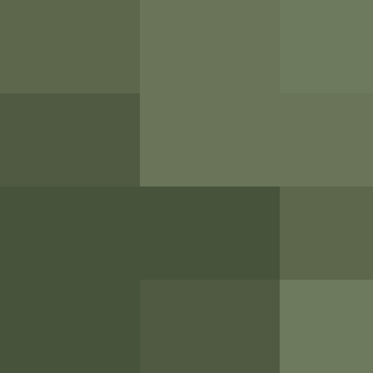 1etho's skin