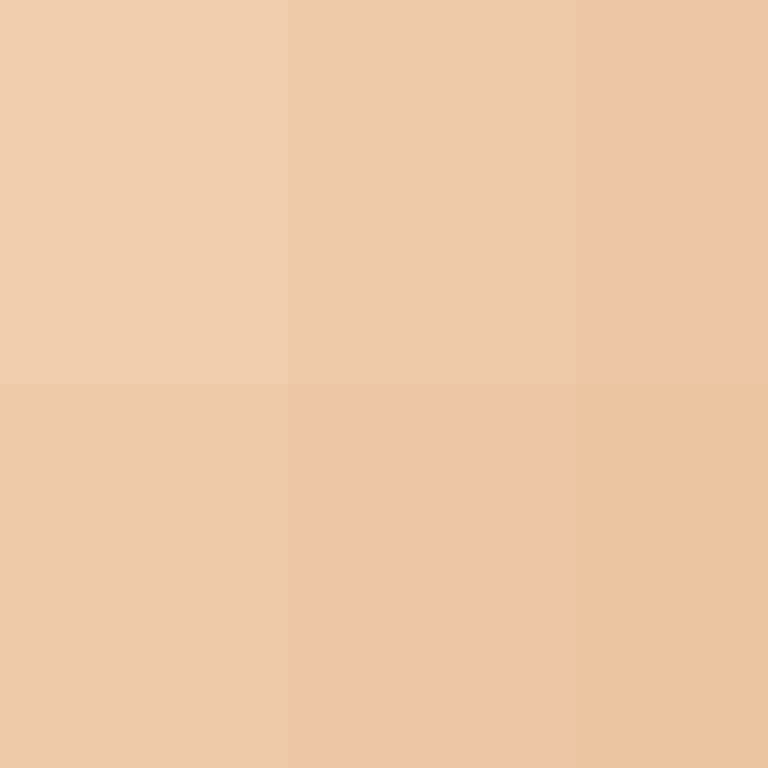 CeilingBird's skin