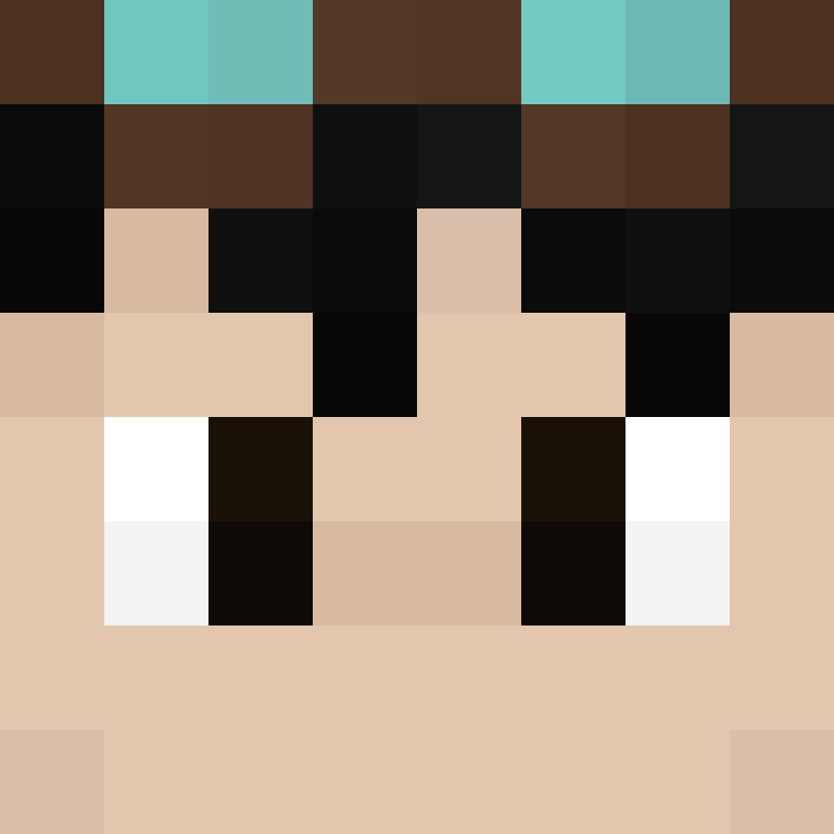 BukkitAPI's skin
