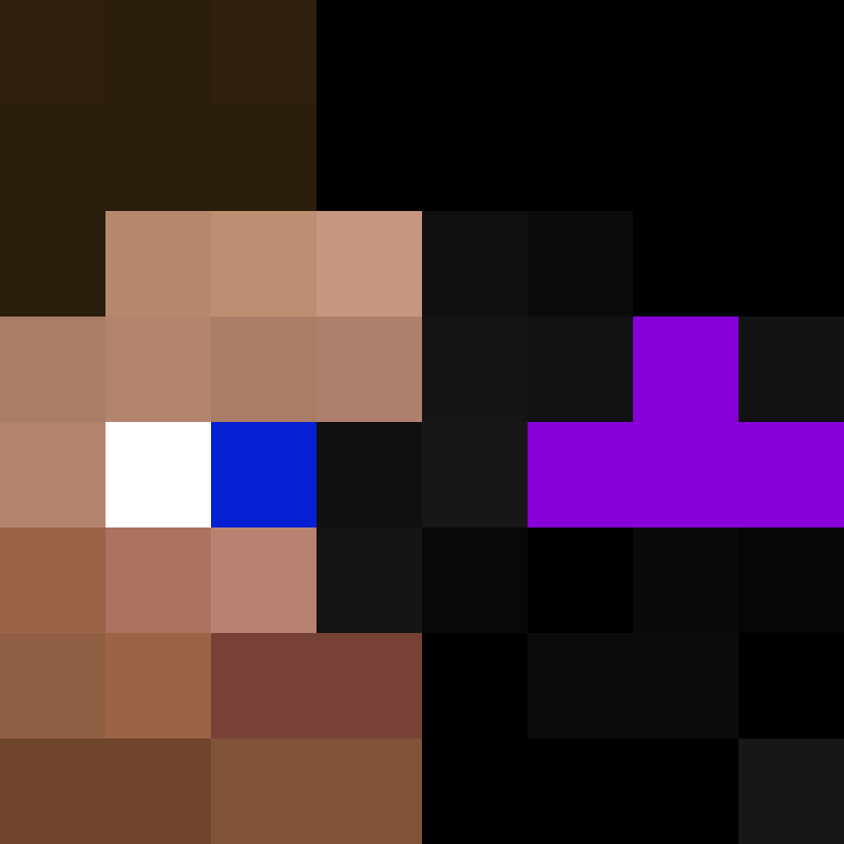 8aca680b22461340's skin