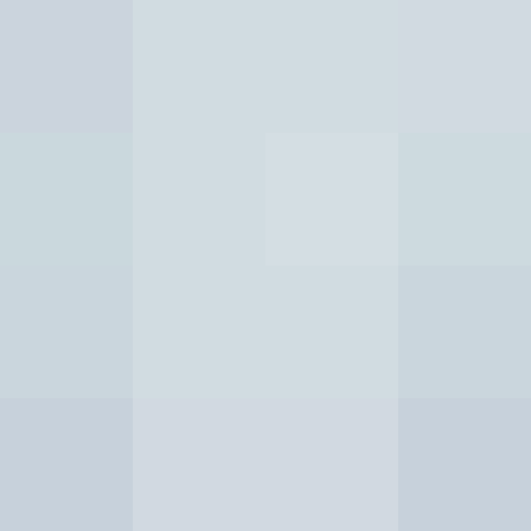 TheSilverDreams's skin
