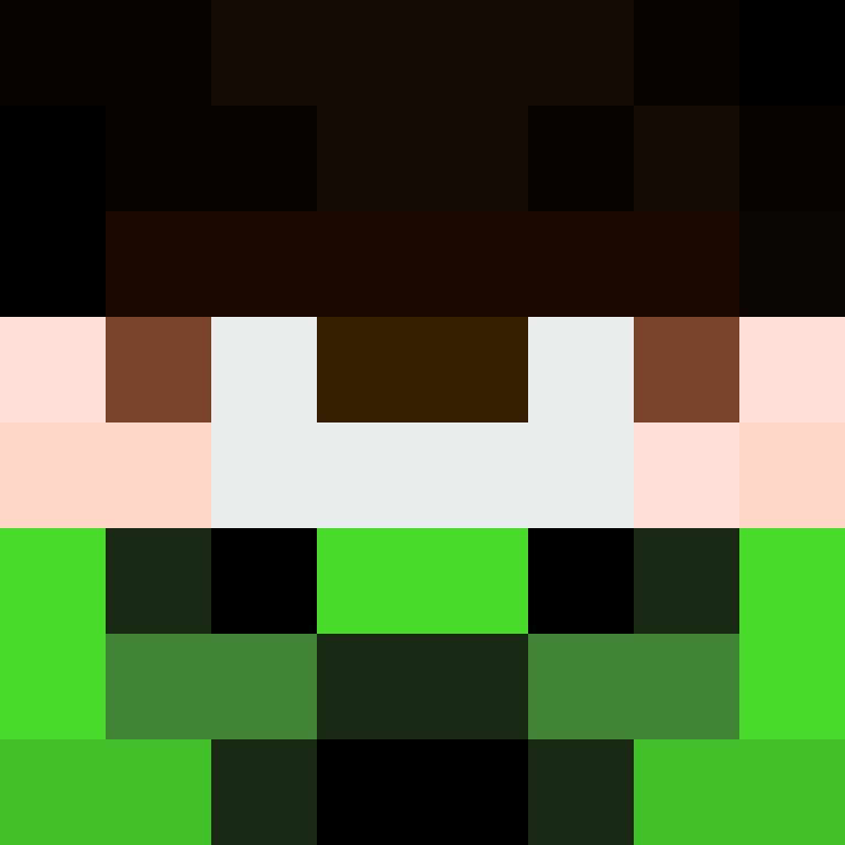xX_No_Income_Xx's skin