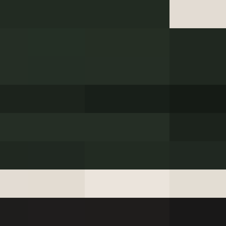 8aca680b22461340's skin