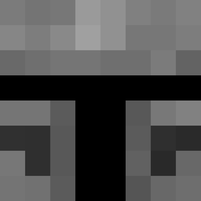 Cartizoll's skin