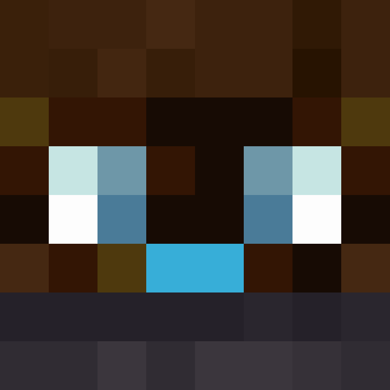 TheCuriousMiner's skin