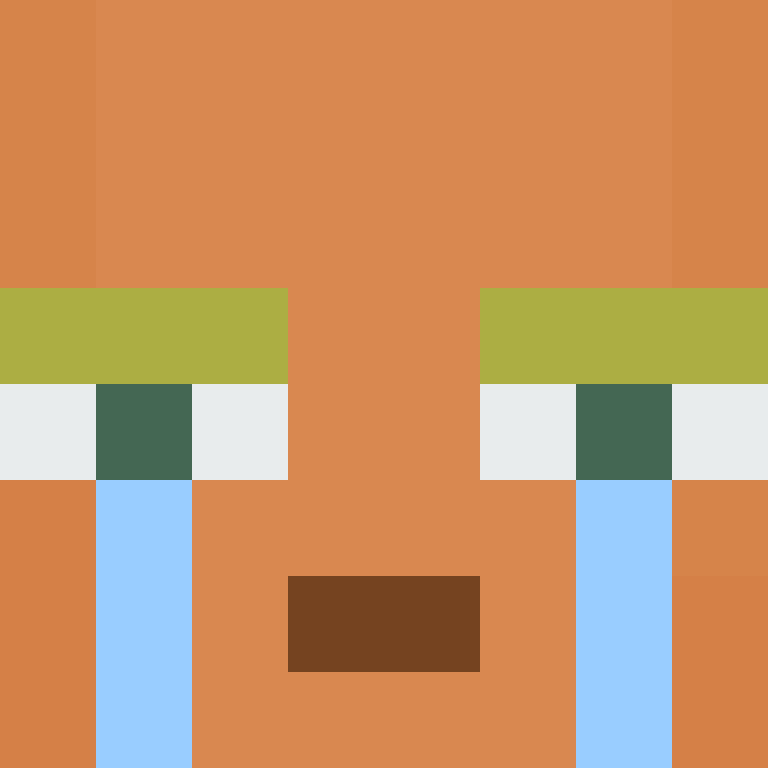 CeilingBird's skin