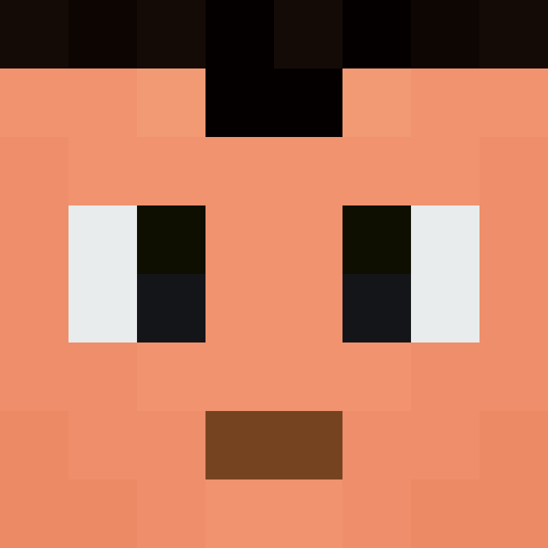 xX_No_Income_Xx's skin