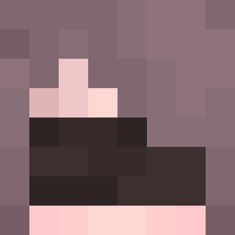 xX_No_Income_Xx's skin