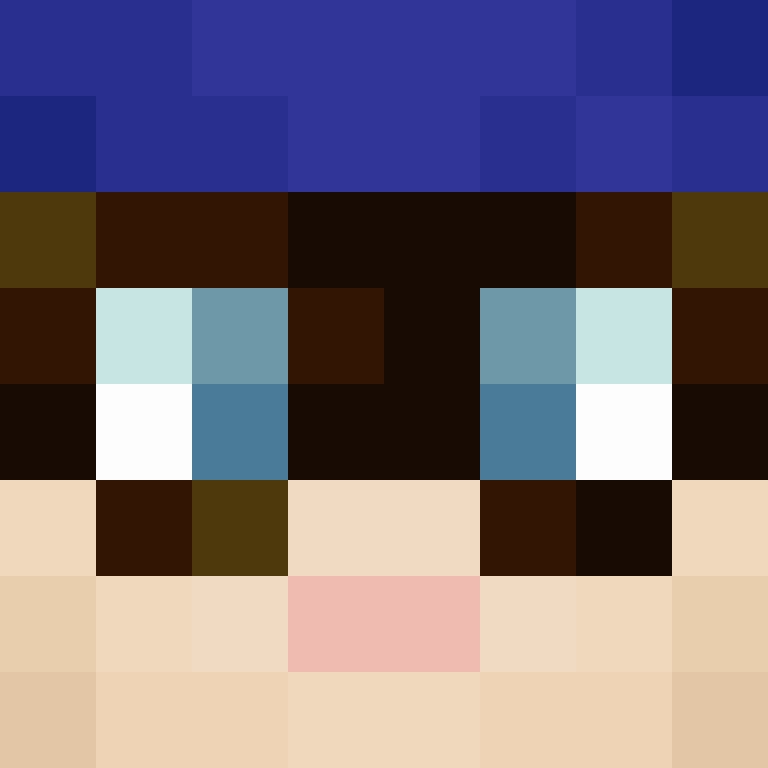 CeilingBird's skin