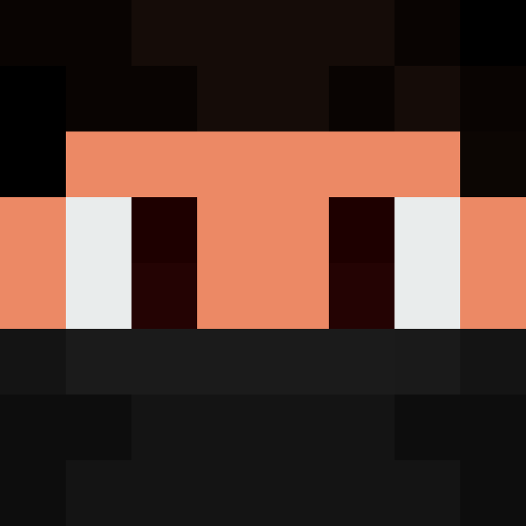 8aca680b22461340's skin