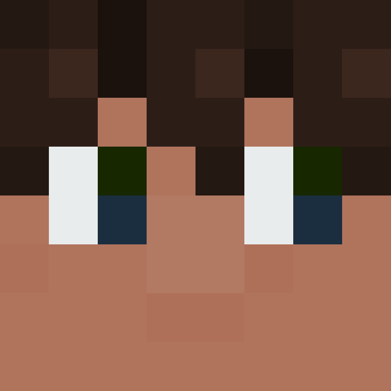 8aca680b22461340's skin