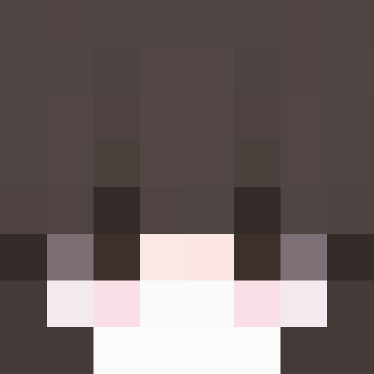 snlq's skin