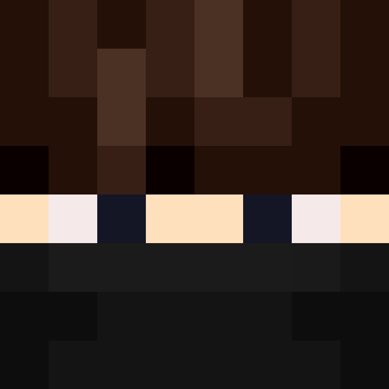 CeilingBird's skin