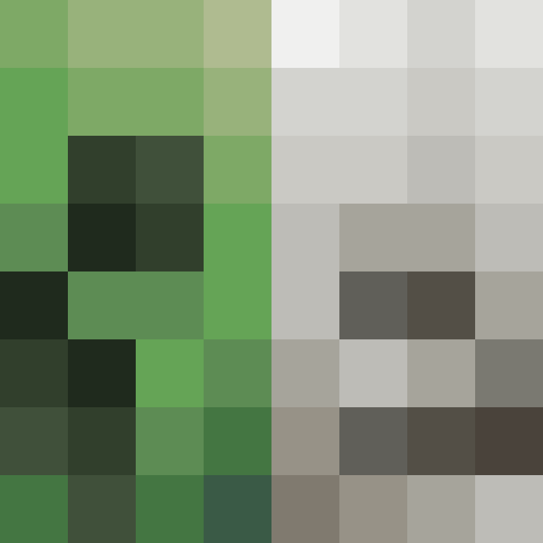Yeleha's skin